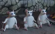 Les Souris aveugles - Shrek 3
