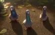 Joey, Vinnie et Bobby - Volt, Star malgré lui