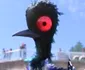 Becky - Le Monde de Dory