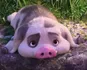 Pua - Vaiana, La Légende au bout du monde