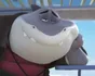 Mr Requin - Les Bad Guys