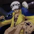 "Surgeon of Death" Trafalgar D. Water Law