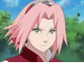 Cherry Blossom Princess