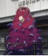Sea_Cucumber_Devil_anime