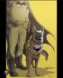 Ace The Bat-Hound