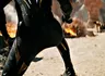 Black Panther: Wakanda Forever