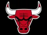 Bulls
