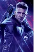 Clint Barton Endgame Profil