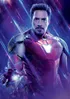 Ironman Endgameprofile